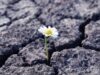 Beitragsbild Resilienz